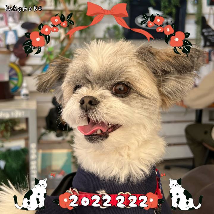 7dad85d2 7664 4032 adeb ca50a1a9817e 1645523361717