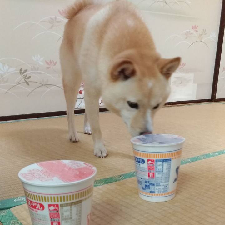 7dada266 9879 4cff 887a 1e9fdb53fc89 1566359323937