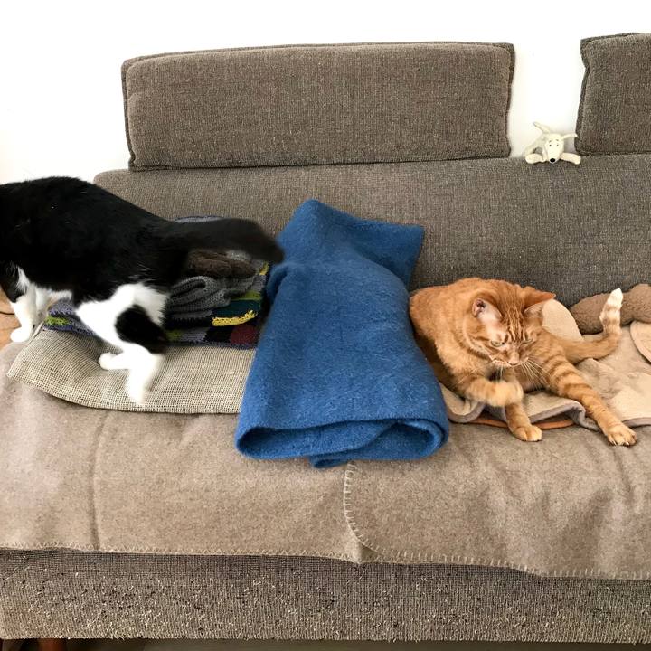 7dada6d4 8ef7 42c4 8b12 54eda45944d2 1575432597403