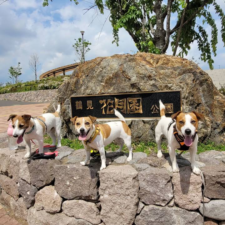 7dadccef d682 4837 b5e0 5fcf0e12db73 1715173687039