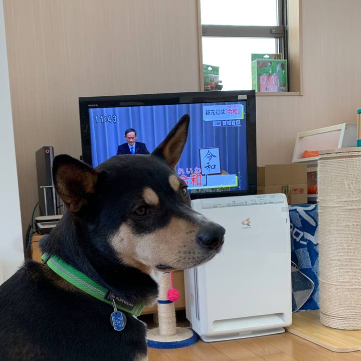 7dadd925 75c5 4f80 b977 e7b5c47ef50b 1554087977703