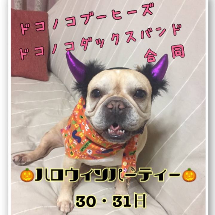 7dade050 71cc 41ed a45e 4a99adc88cab 1540638038283