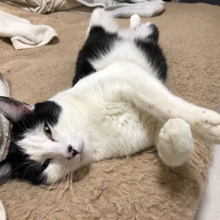 7dadf0ee 68b7 4213 9ffb d19f5d0ef202 1547560469157