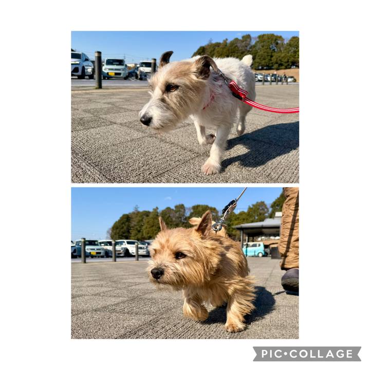 7dae1326 3dc1 442c ac04 acb425319a7c 1768717226185