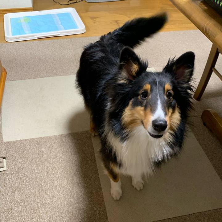 7dae276f a156 47bd bdbf 8b17d09c32bf 1548194758017