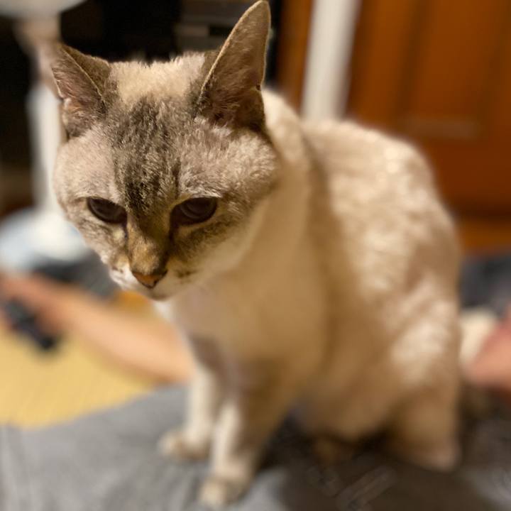 7dae6c6a 1ca8 4943 938c d7b21e7a268a 1594292794344