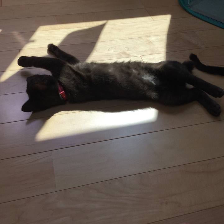 7dae7d56 db8f 4fbf 8bf9 53766c65be8f 1520294922575