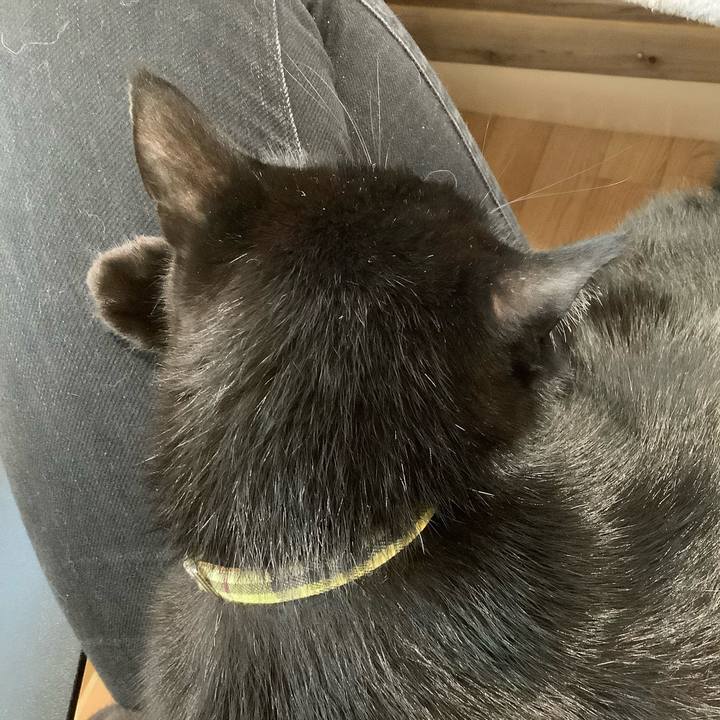 7dae8024 b488 4674 918d e2e6cecbd5fa 1605250386851