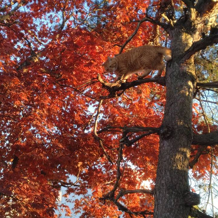 7dae8285 d3d3 423f 8abd e48cded42a6b 1700637882111