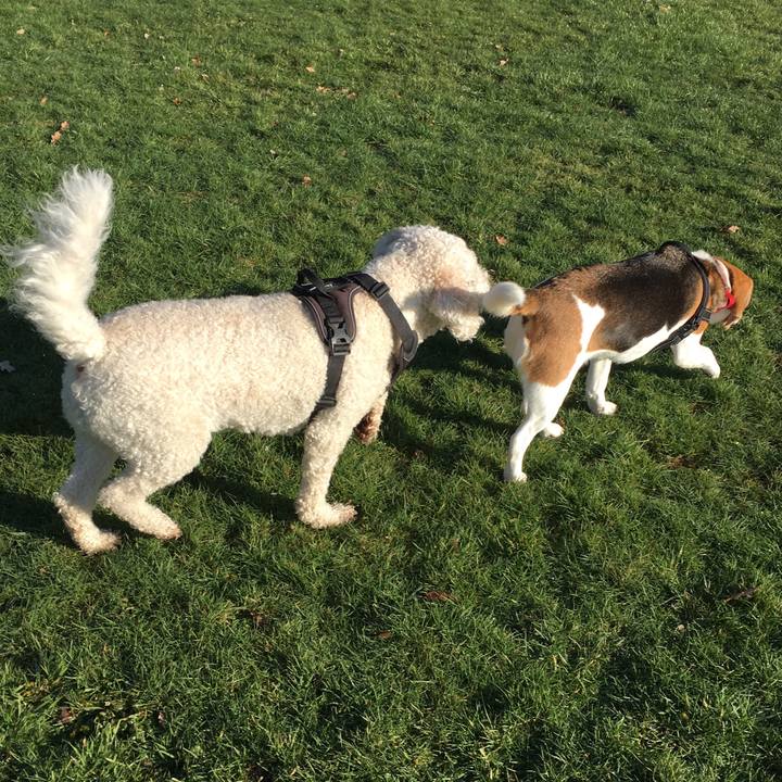 7dae92e0 adb3 46c3 ba7c dd402dbccf7e 1550521034333