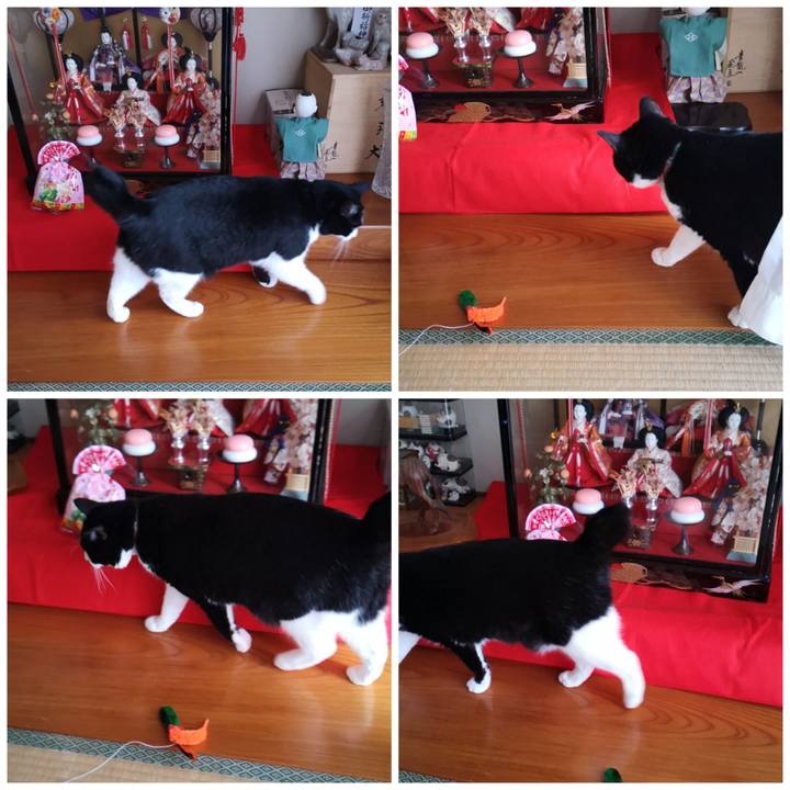 7daeb478 8342 43ca 8232 5fd02cc84712 1583209100837