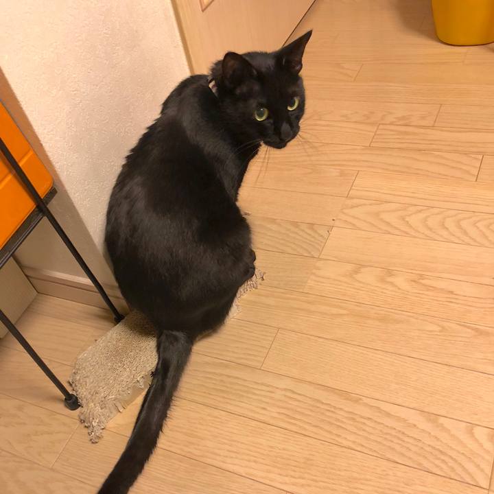 7daf09fc e93a 4c31 a889 2f9c6c314341 1521636612351