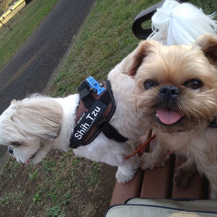 7daf1293 b2b6 4e36 9c3e 494bd7ff2694 1635901420723