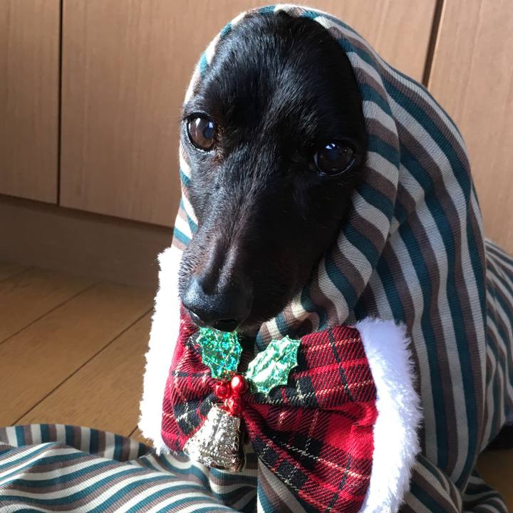 7daf8cc5 27a0 49b9 911e b5a85e261603 1640388199046