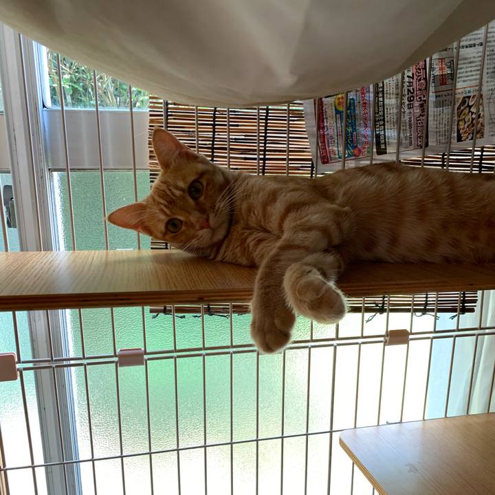 7daf9a85 a9e7 4a39 aee2 7f1c61a33359 1690769195348