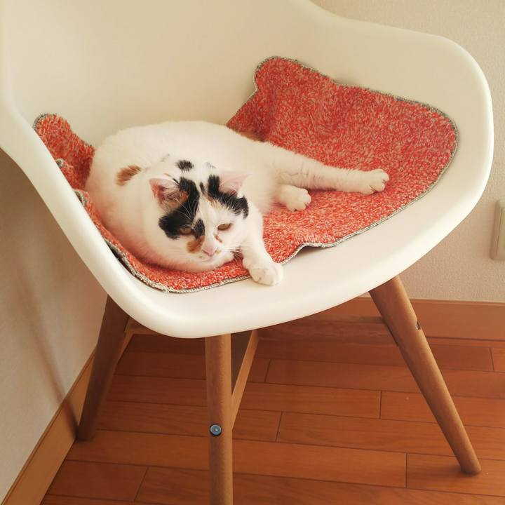 7dafa902 caea 4d80 8ee1 92297172201e 1510363633316