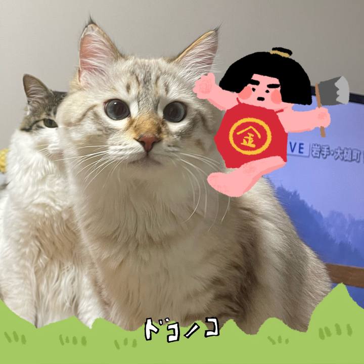 7dafafbb a7a9 450a 89c5 0dc299fbeaf3 1779965199874