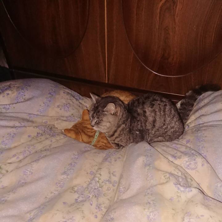 7dafcc1b dfa7 4280 873b 198c549ebfbc 1583072839585