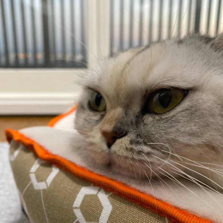 7dafdf01 5d03 4777 b90b 4bd74dbde6dd 1765179716822