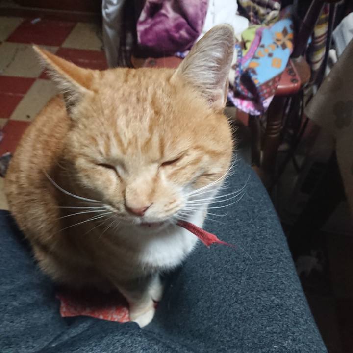 7db00540 5593 45e2 a514 a98c9a2243d4 1575575658137