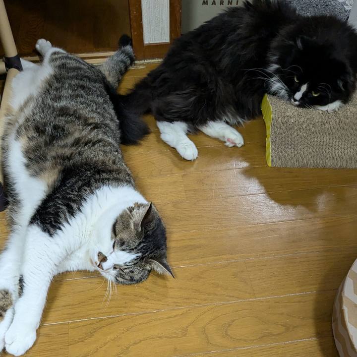 7db00e21 58ca 4550 b720 4add3b93a664 1718886797848