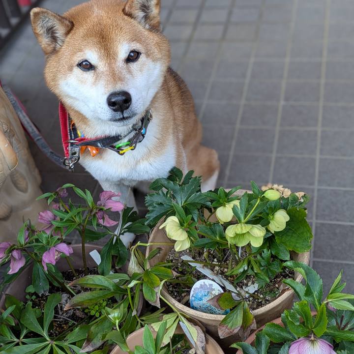 7db0192f 9e82 4029 9795 59f38f6dfa08 1773474404405