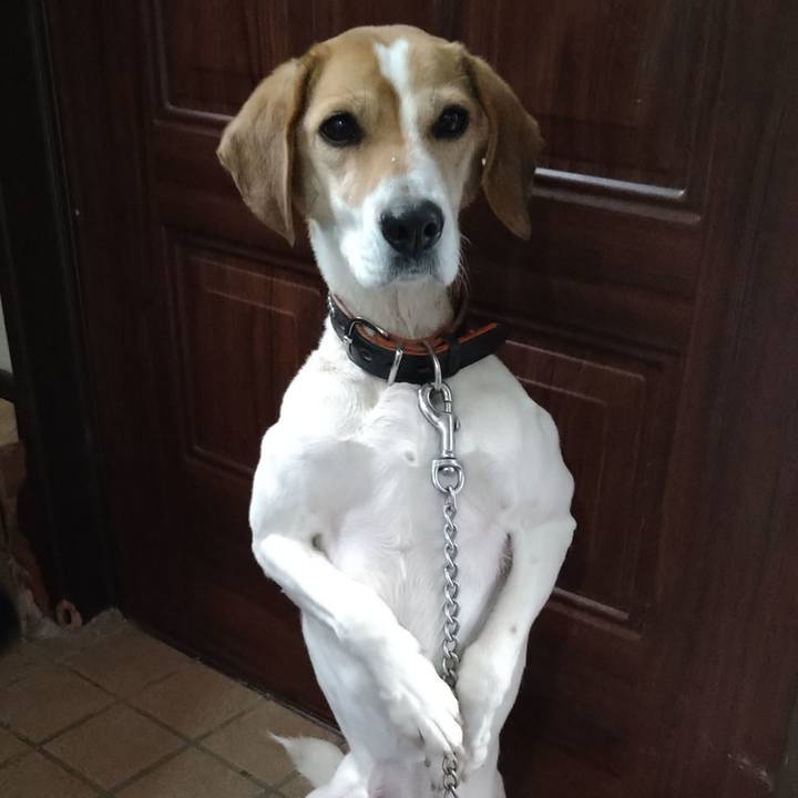 7db049c9 c022 43f2 a2d8 88f5a653ca6f 1652444135322