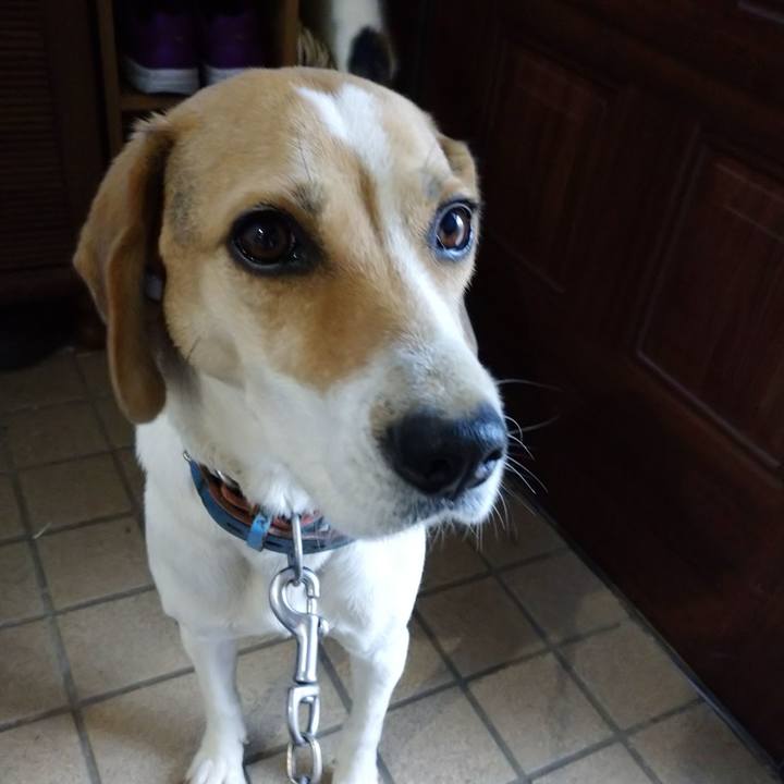 7db04a8b f107 4149 bb16 24c7358598d1 1606950614472