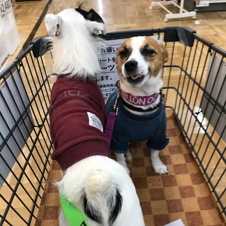 7db05f42 5fd5 40b2 9944 ab7ef52d78ab 1508039650788