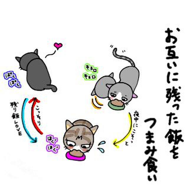 7db07022 7624 499e 8043 e896c6f2b48b 1760097791983