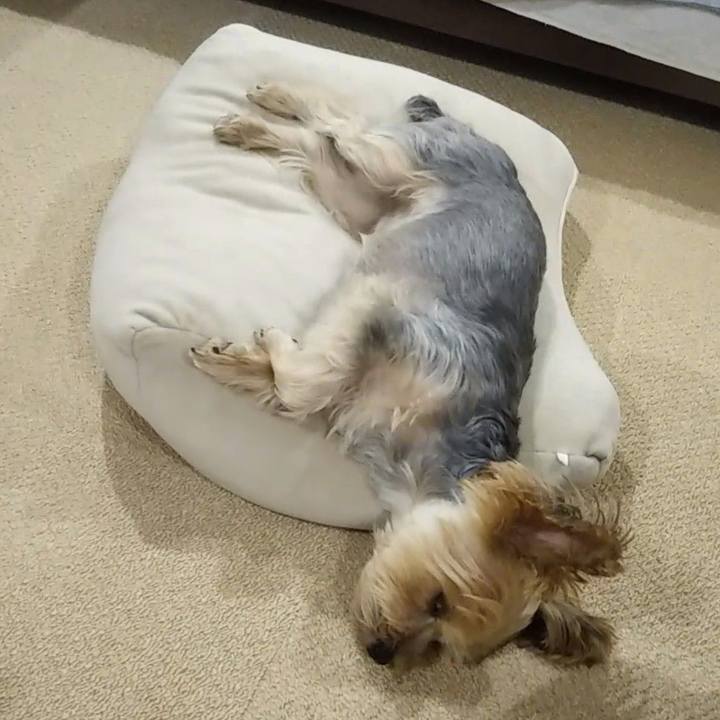 7db07766 1915 46d7 a1ab ae1fc6b90247 1662894834907