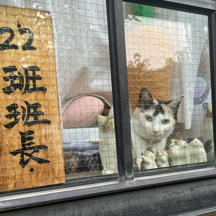 7db07c5d e45a 4da5 bccb 59df516e907f 1757453086847