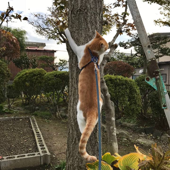 7db0af60 7c33 426d 8a6c 1425c9b10e29 1509155702810