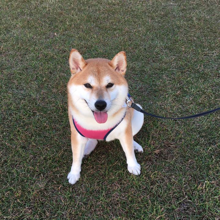 7db0b288 965d 446c 922a 7020f5f5d410 1539074674161