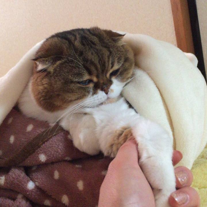 7db0dfb7 e0e4 4a72 a076 0fefb339dce6 1513634779184