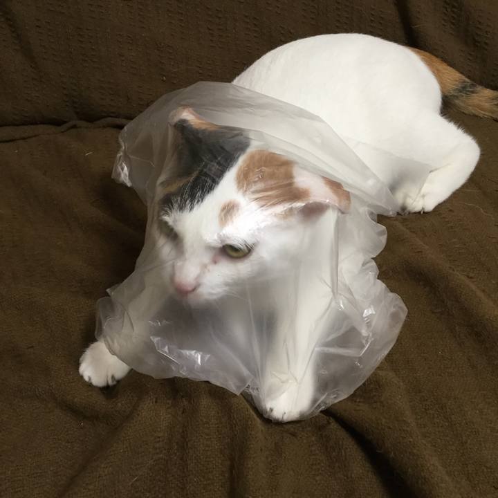 7db10ee8 a34e 42f1 86c7 6fab32b16592 1565737866246