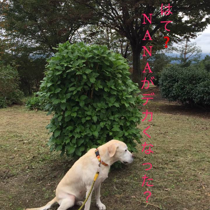 7db14b15 6791 44a6 b8a7 f14c0785ce76 1508479227941