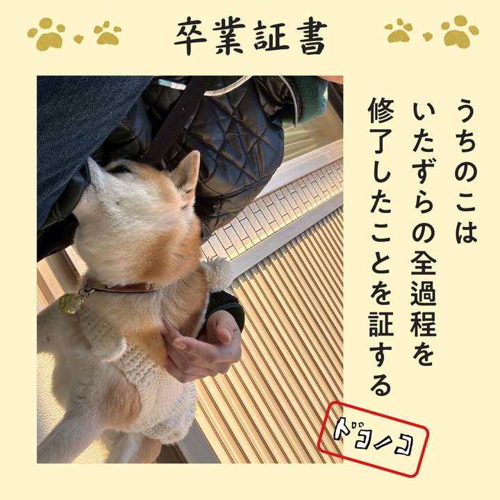 7db16929 0f06 428e b65d 5c2d6539047c 1771822240821