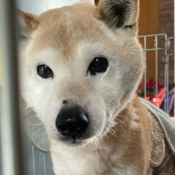 7db16ea5 52f3 4f4f 9f1b 817767c5abea 1710135672953