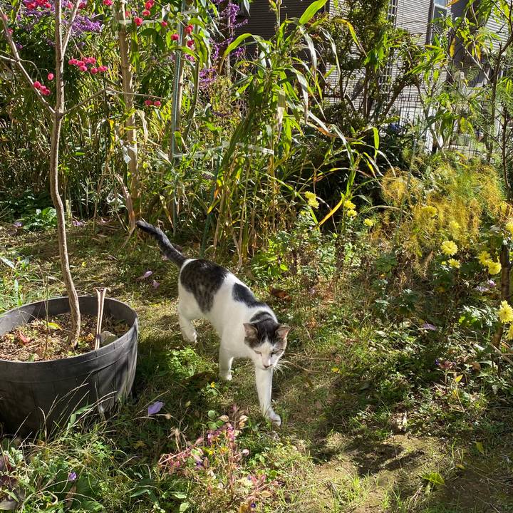 7db18d58 e236 49df 95b1 ac24893795a8 1606374498789