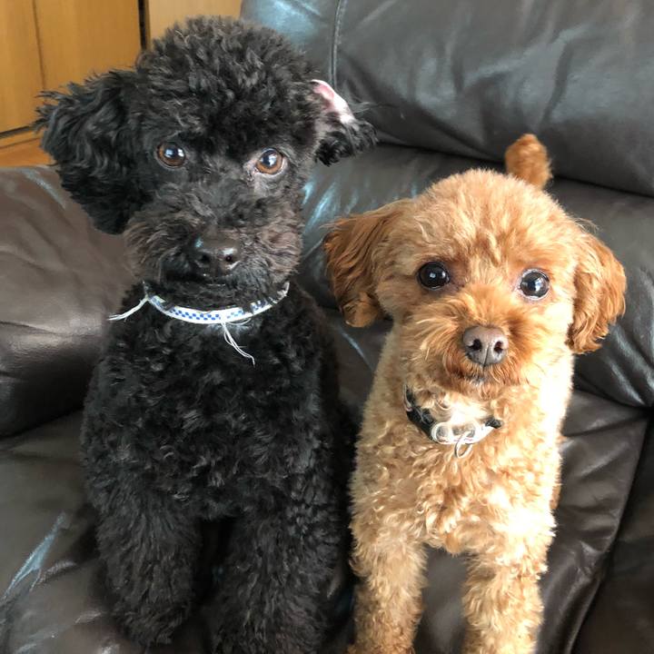 7db19717 183c 4b20 96b7 d51af3e93cdb 1550789923900