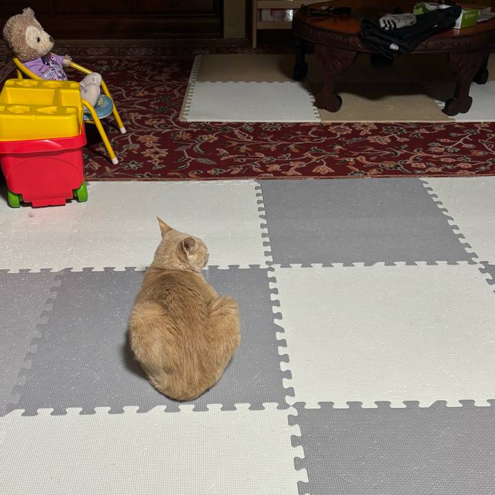 7db19a86 7d33 4306 a0c4 655c332a5419 1717419803582