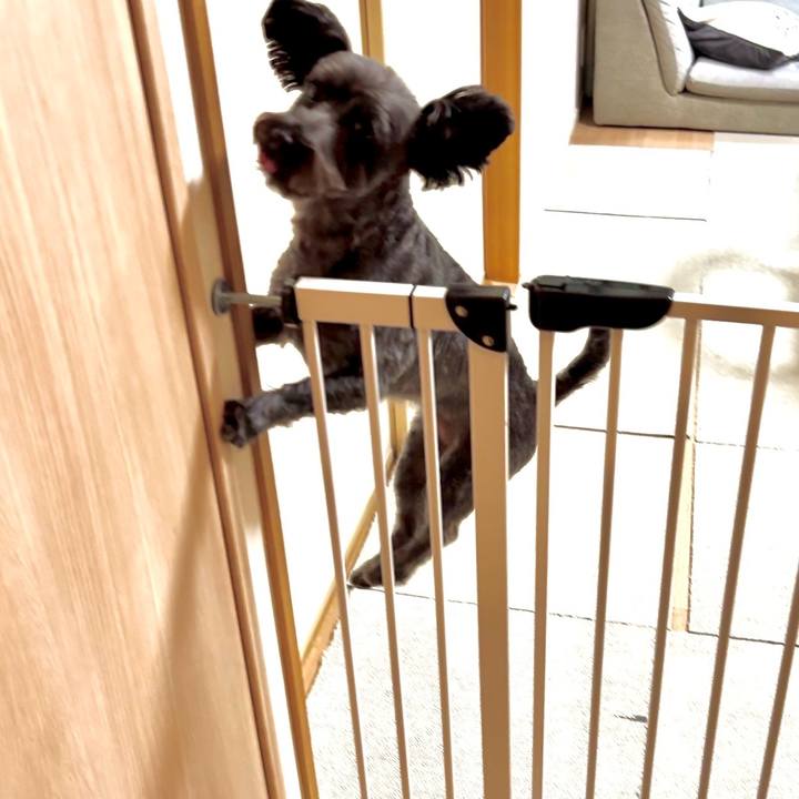 7db1a297 0bf6 49e4 af49 86fef56e8115 1760186640940