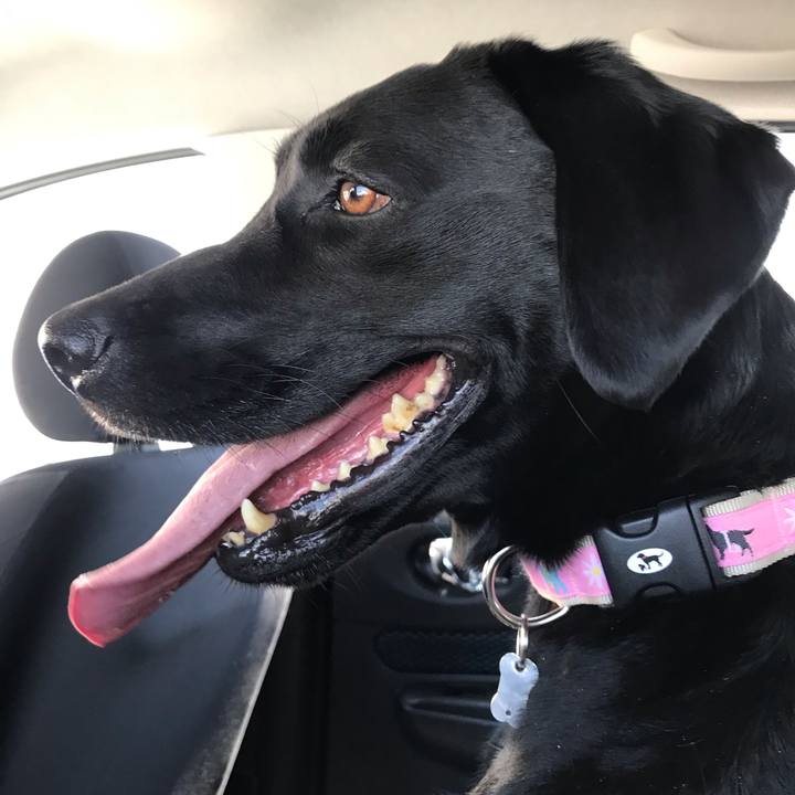 7db1a956 a5b8 488b 8472 6e785d52083f 1555125600106