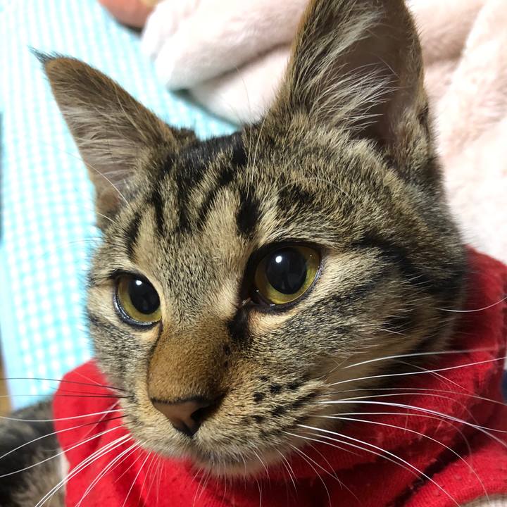 7db1d29a 44bf 41d5 a509 88a92a0cbf23 1740324065173