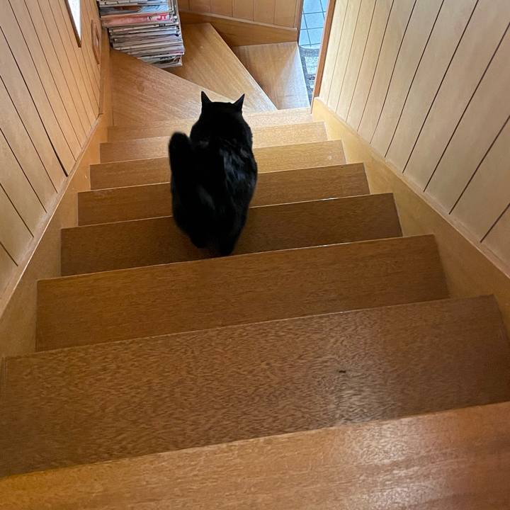 7db1d875 cbc4 4da5 b590 5a983cbf5caf 1647224526605