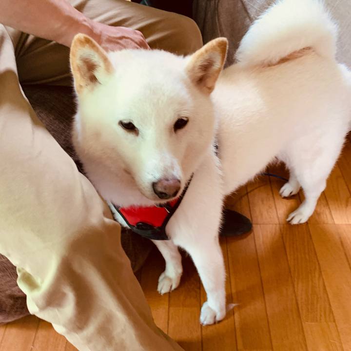 7db1fdc3 7ba6 47c3 a34e 745d7df54887 1656707851428