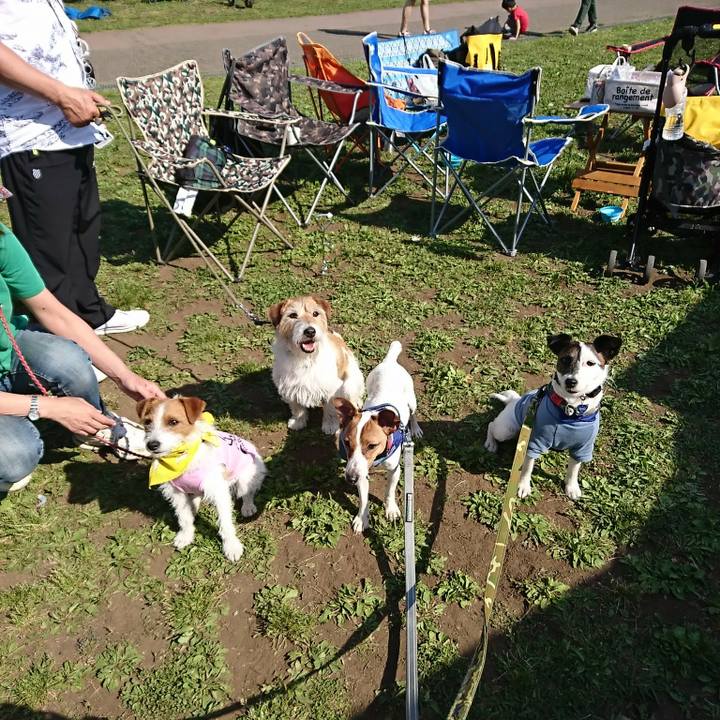 7db21e9f 60bd 498b b729 3f504b49009b 1525506409912