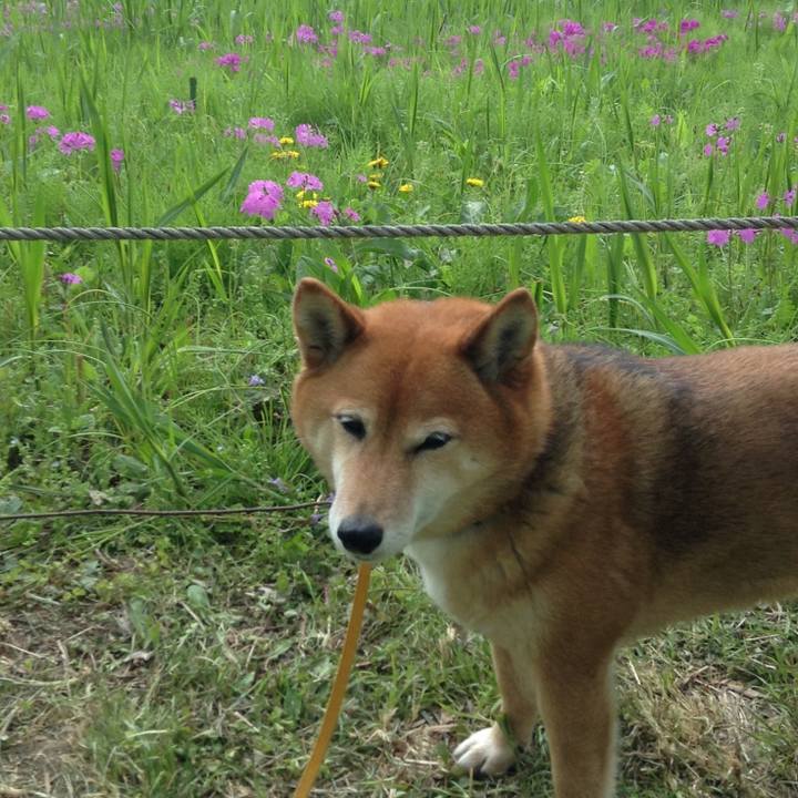 7db2457e 57c2 4779 b92b 97aa4084dadb 1523428765286