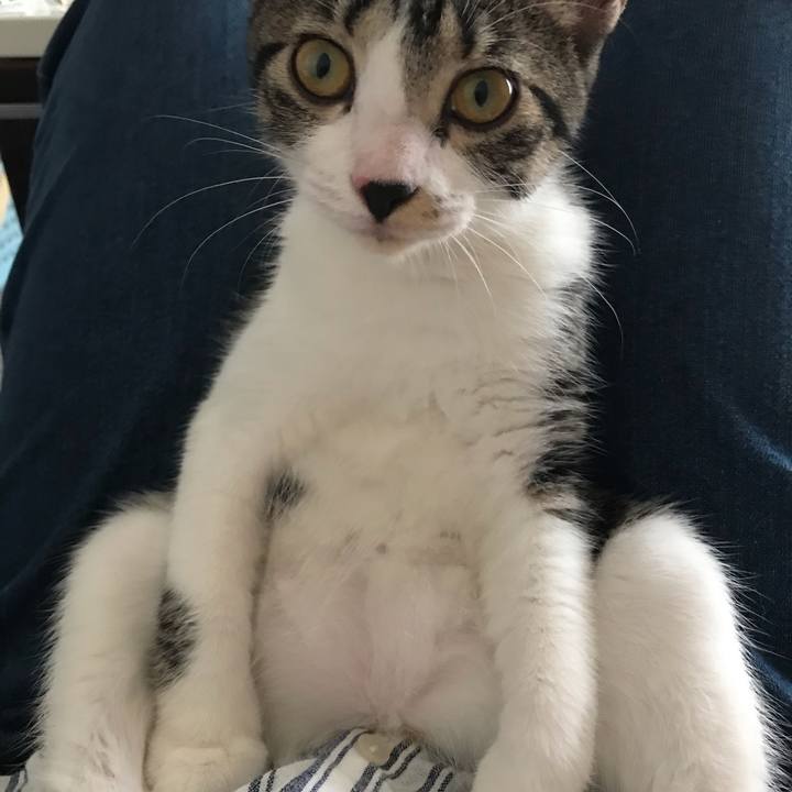 7db24b28 ee62 4956 a670 95b6db4f1dee 1599379020315